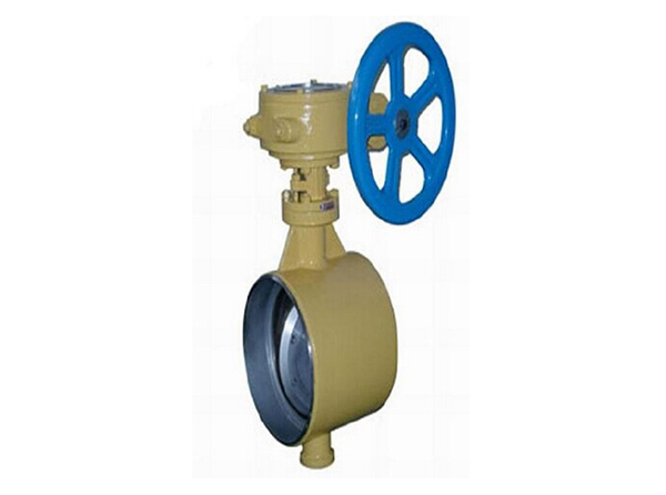 焊(han)接保溫蝶閥 焊接保溫蝶閥